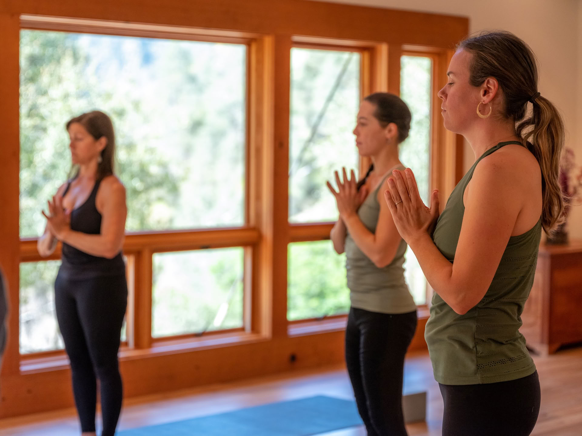Wurzeln der Resilienz: Yoga & die Arbeit, die wiederverbindet