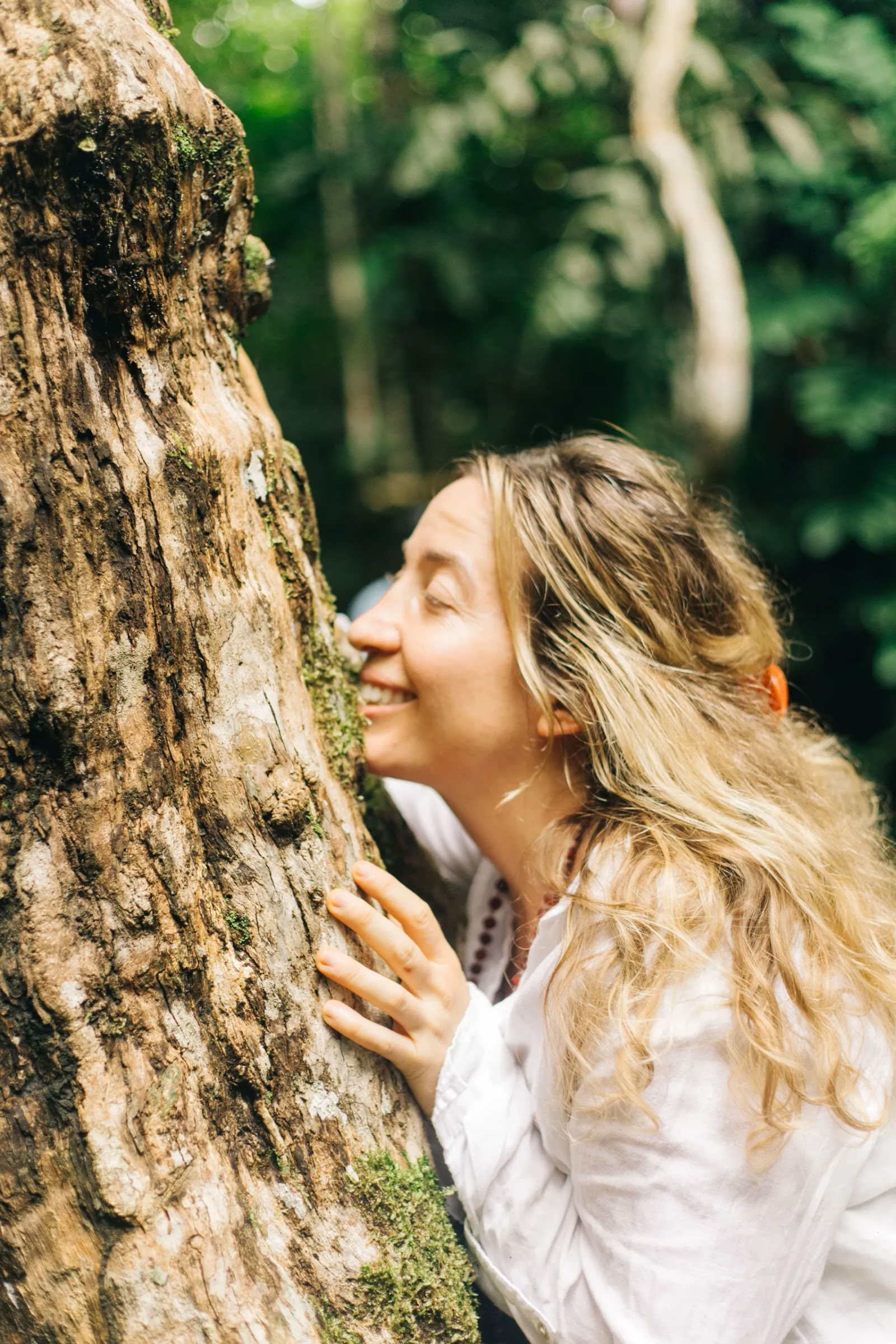 11-tägiges Ayahuasca-Retreat in Peru – 18. - 28. September 2026 | Shipibo Healing & Integration