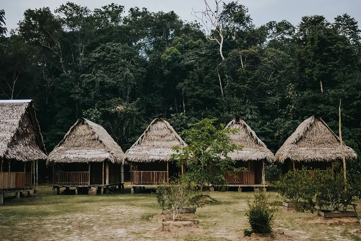 11-tägiger Ayahuasca-Retreat in Peru – 24. Juli - 3. August 2026 | Shipibo Healing & Integration