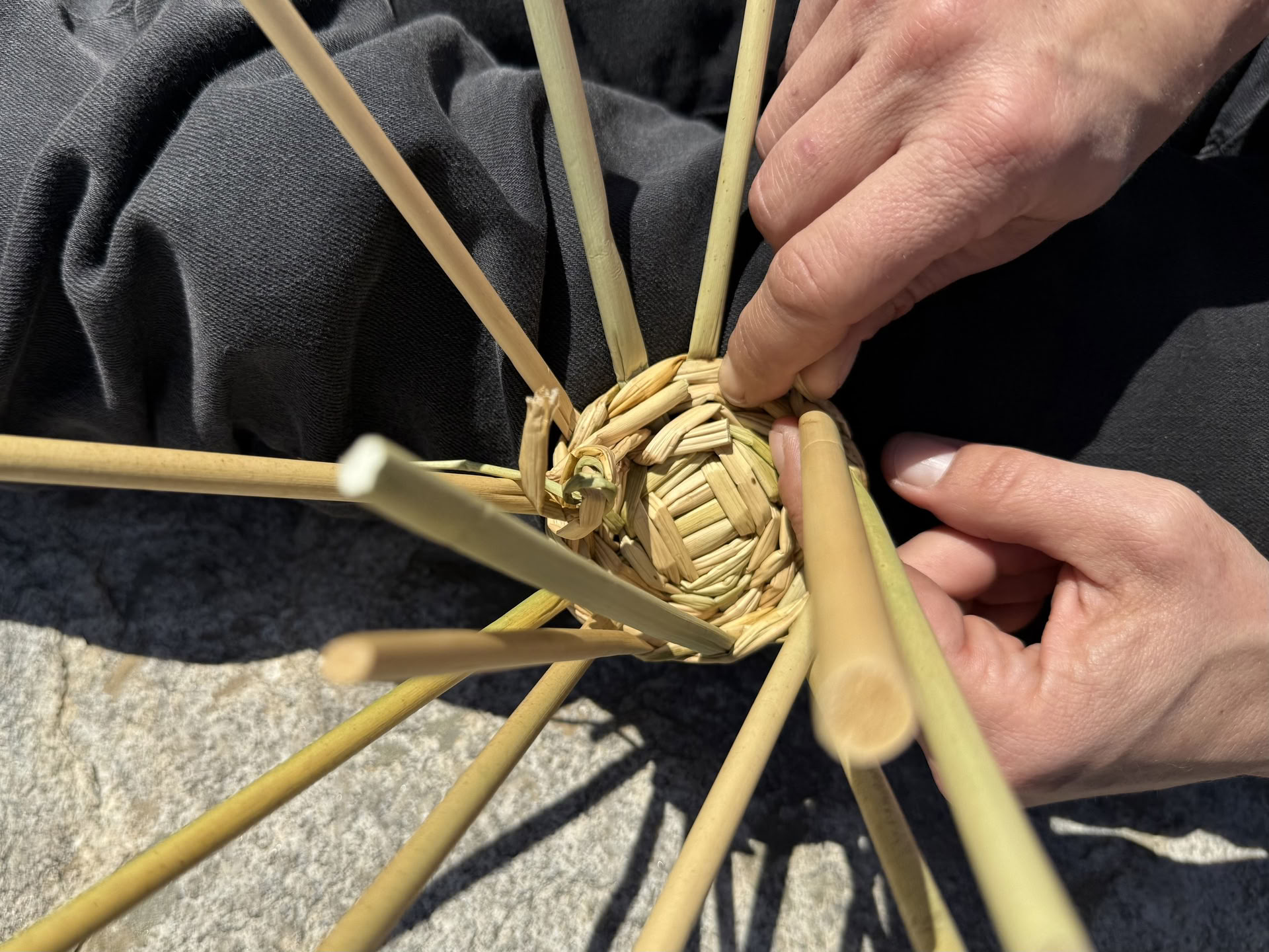 Native Basketry & Traditionelle Wissensweisen