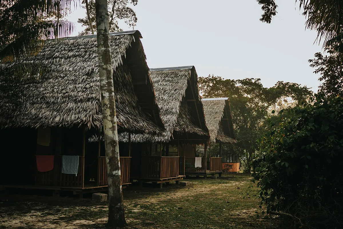 11 Tage Kambo-Heilungsretreat in Peru – Tiefe Entgiftung & energetische Erneuerung