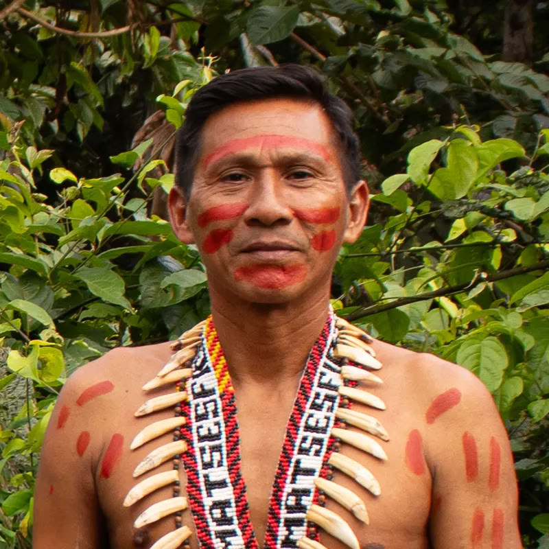 11 Tage Kambo-Heilungsretreat in Peru – Tiefe Entgiftung & energetische Erneuerung