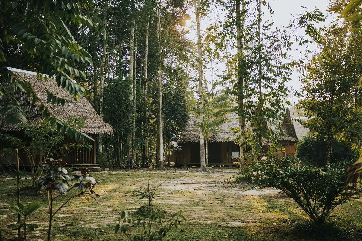 11-tägiger Ayahuasca-Retreat in Peru – 30. Mai - 9. Juni 2026 | Shipibo Healing & Integration