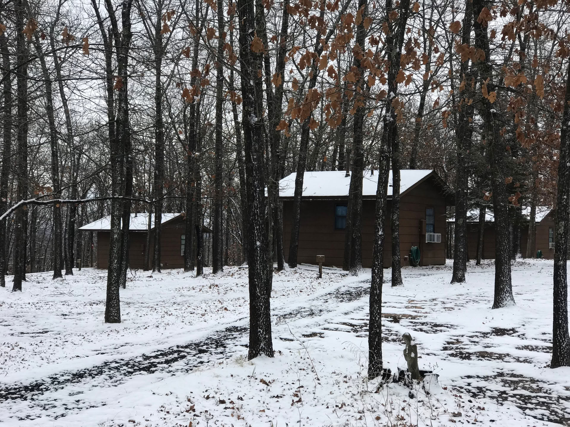 Family Day im Wald — Wald des Friedens