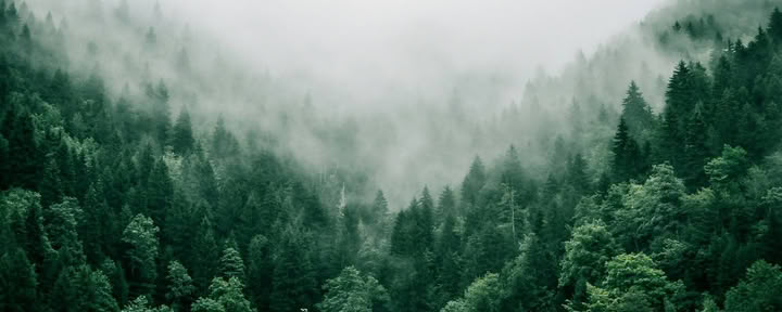 Retreats mit Drubgyud Tenzin Rinpoche (noch zu bestätigen)