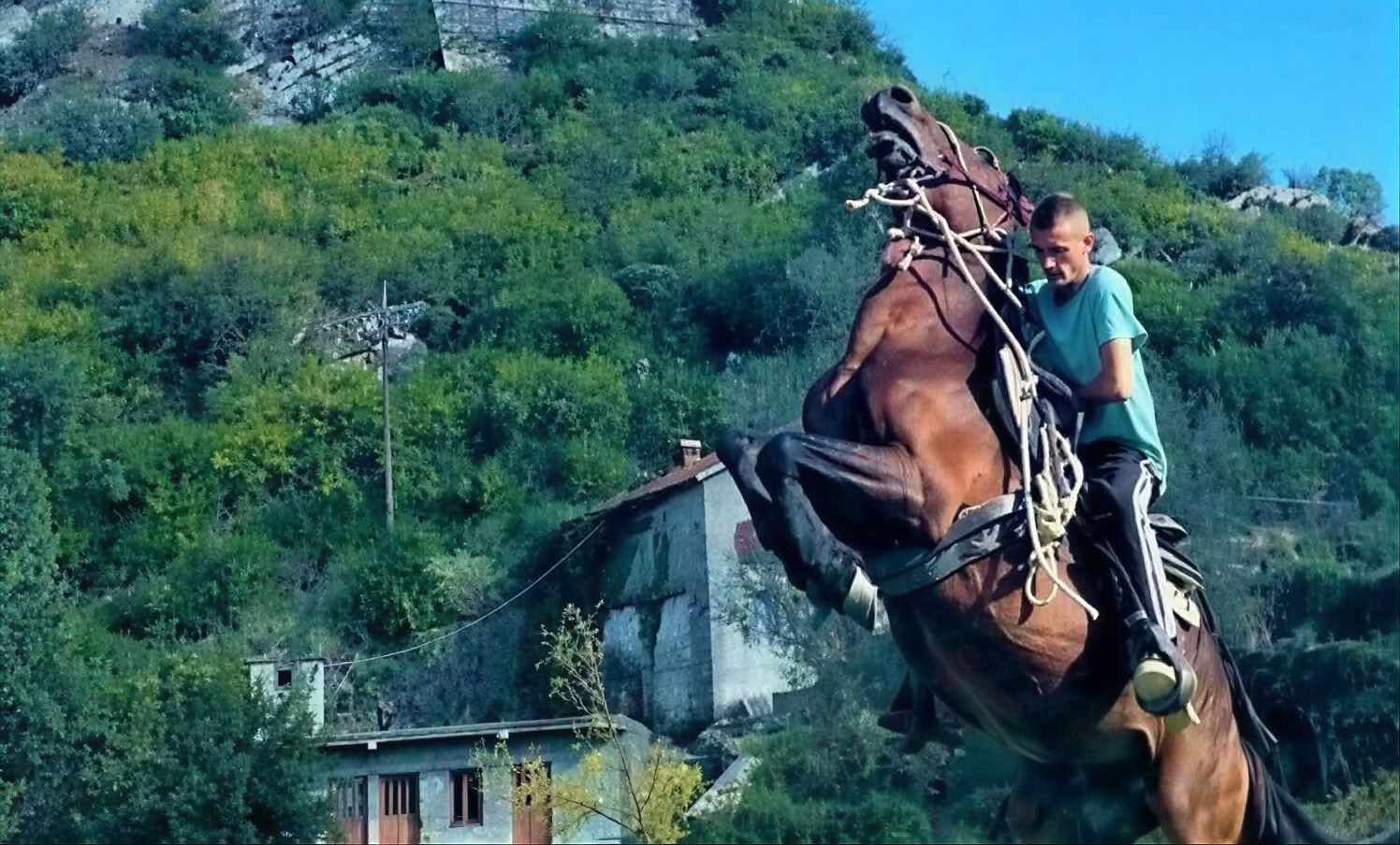 Montenegro Kloster Privattour