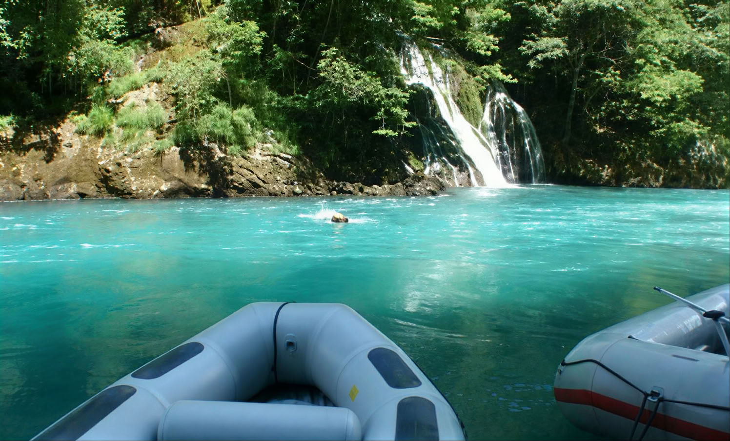 Tara Rafting Ganztägige Privattour