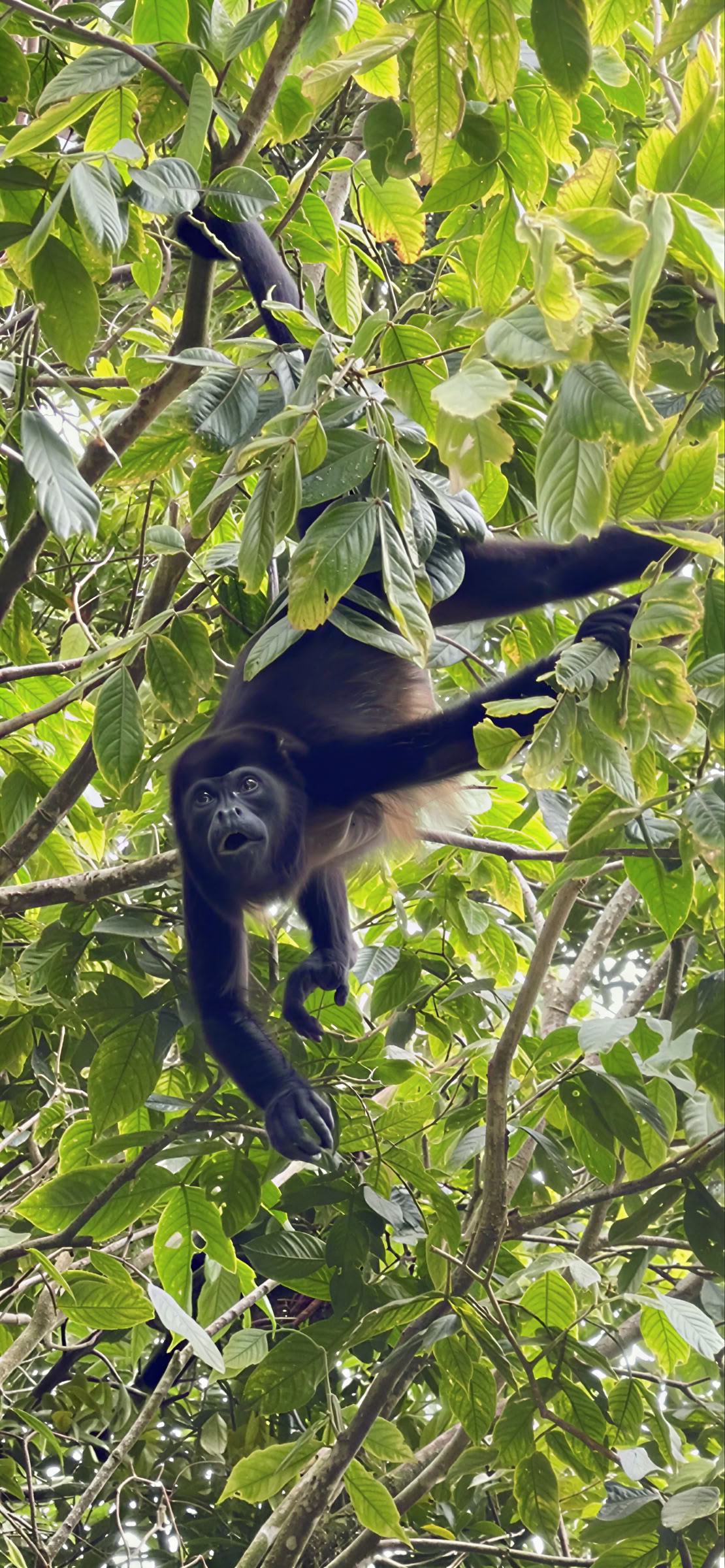 Costa Rica Intensives – 3.-10. Mai (7 Tage)