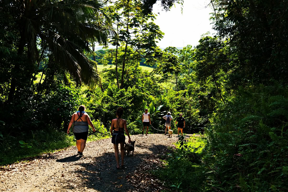 Costa Rica Intensives – 3.-10. Mai (7 Tage)