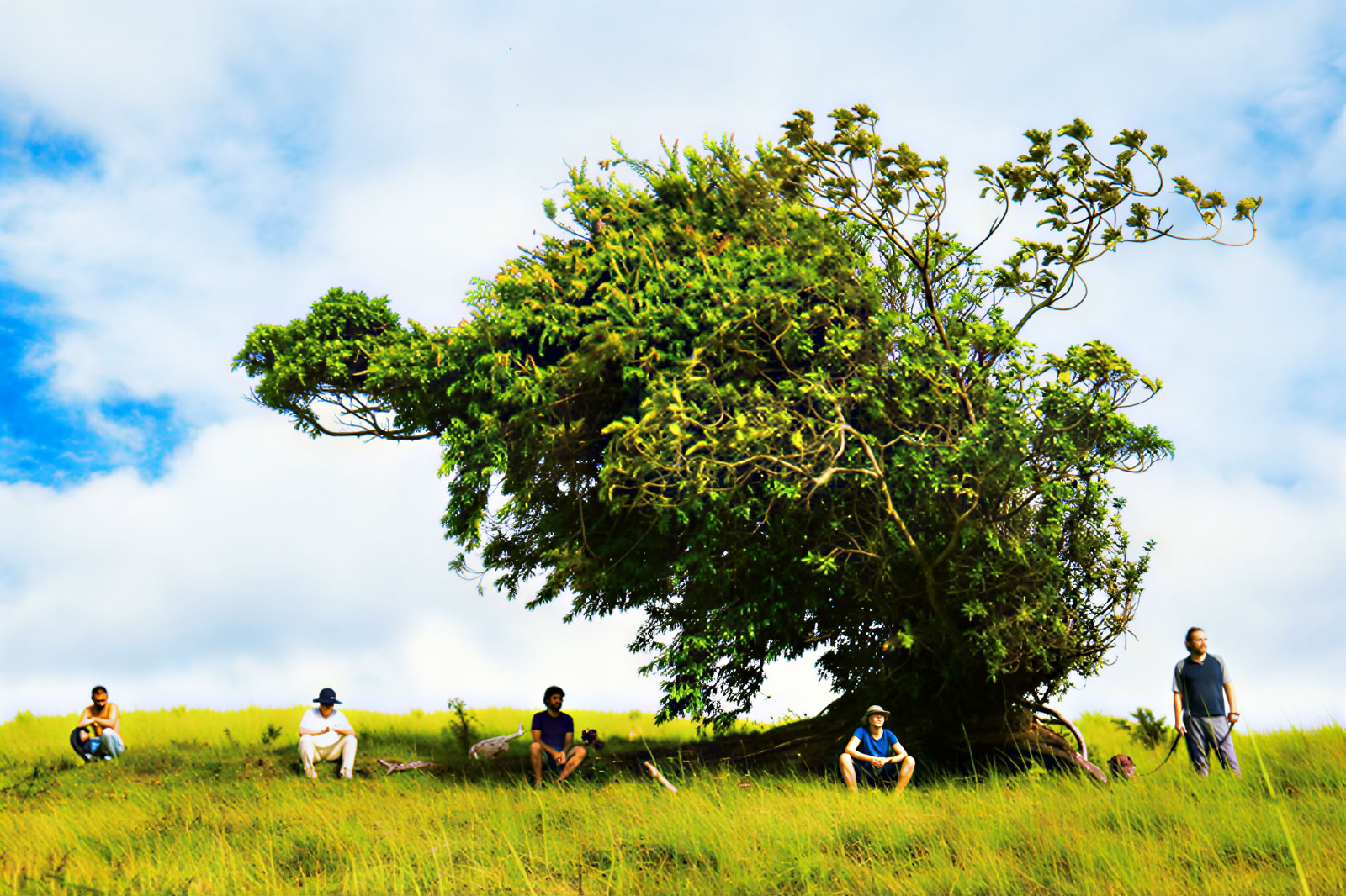 Costa Rica Intensives – 3.-10. Mai (7 Tage)