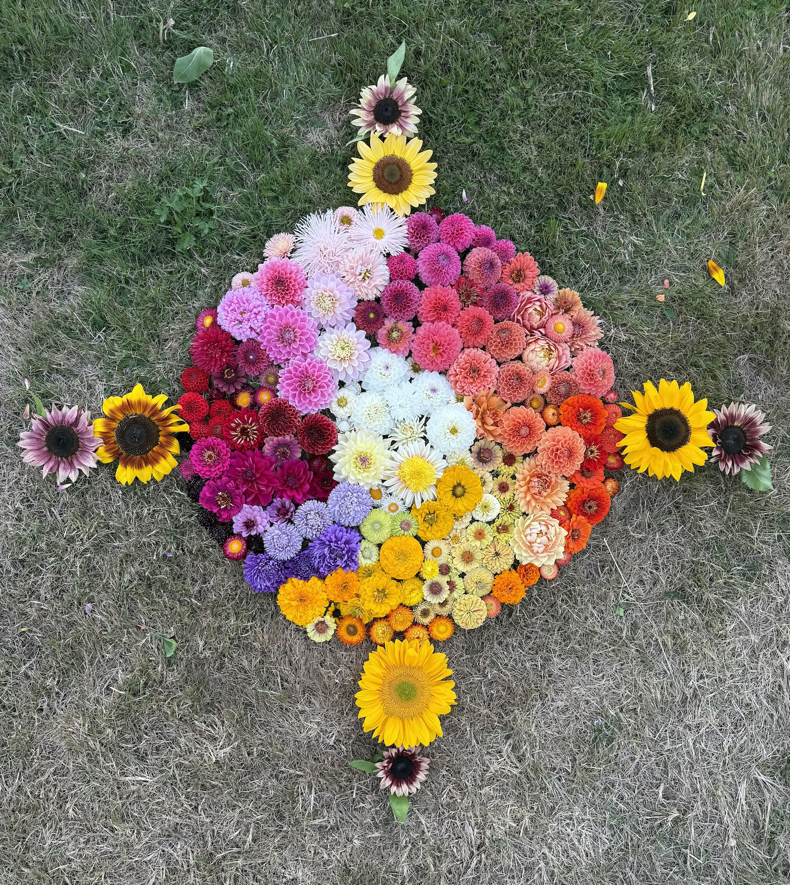 Flowers, Yoga, Horses - Sommer-Retreat 2026