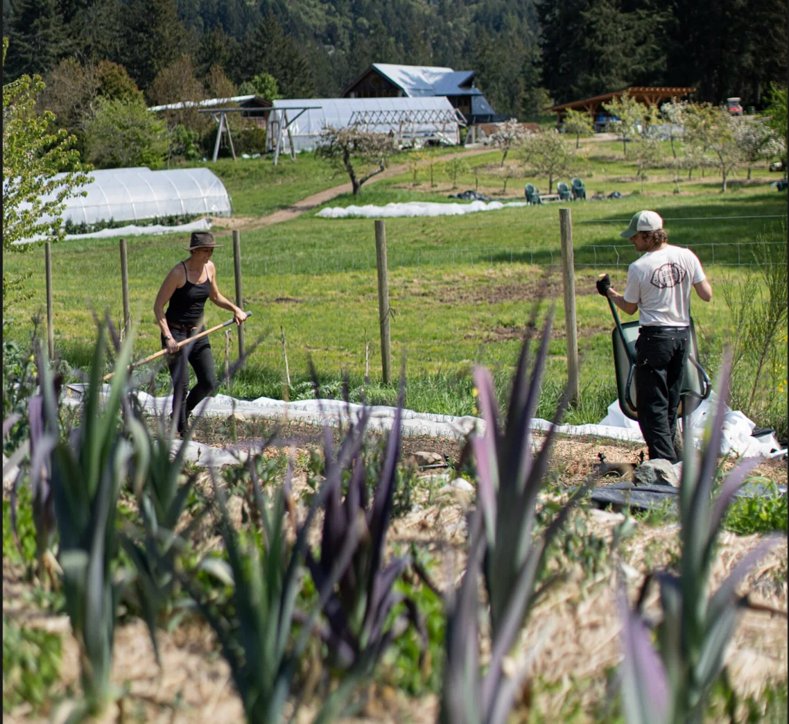 Den Garten für die nächste Saison vorbereiten