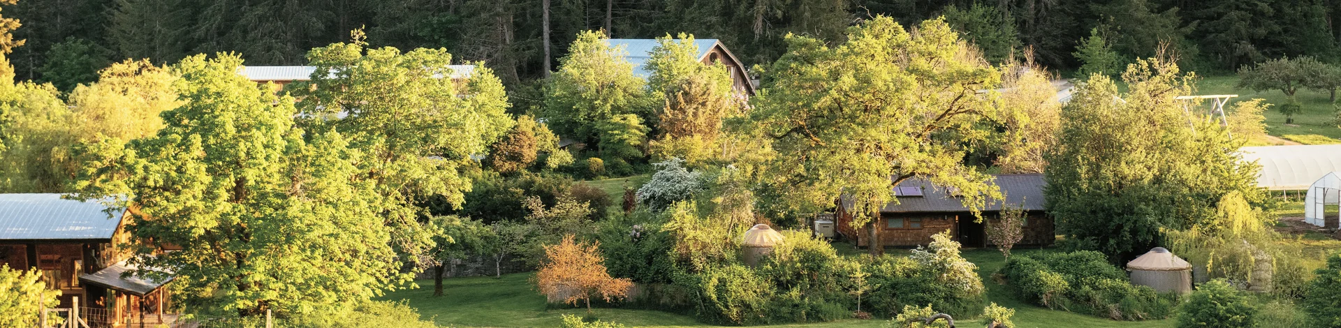 YERBA FEST! — Stowel Lake Farm
