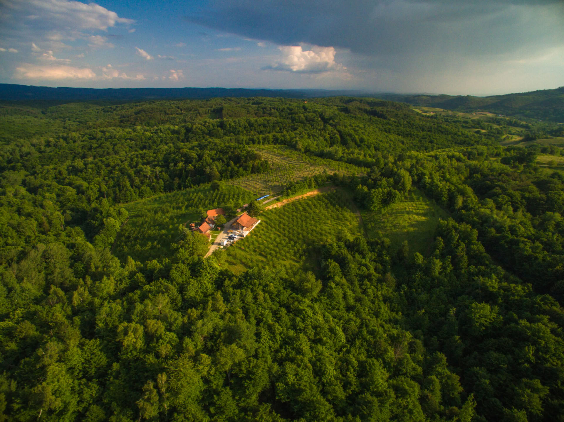 Wald-Auszeit Yoga-Retreat Kroatien