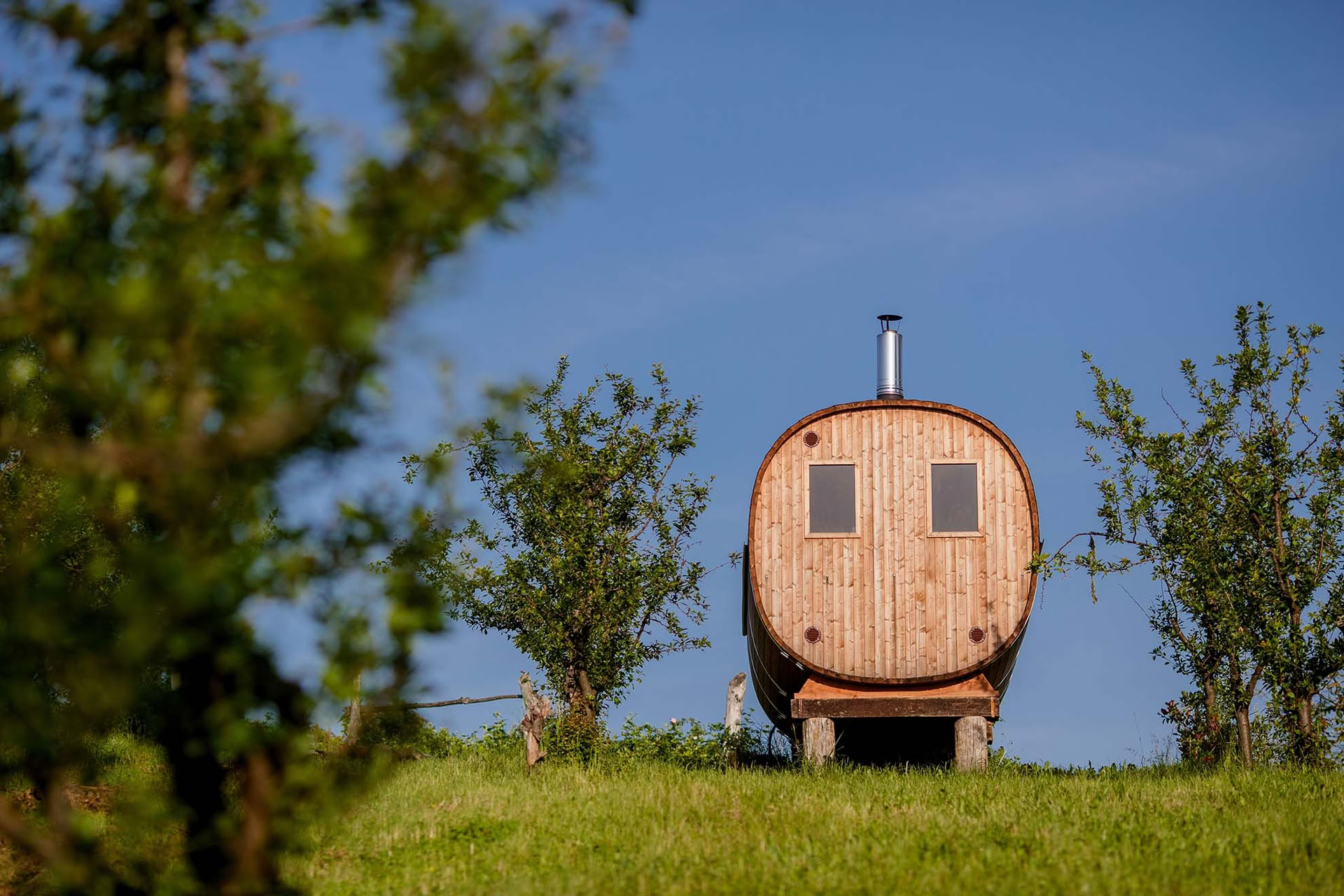 Wald-Auszeit Yoga-Retreat Kroatien