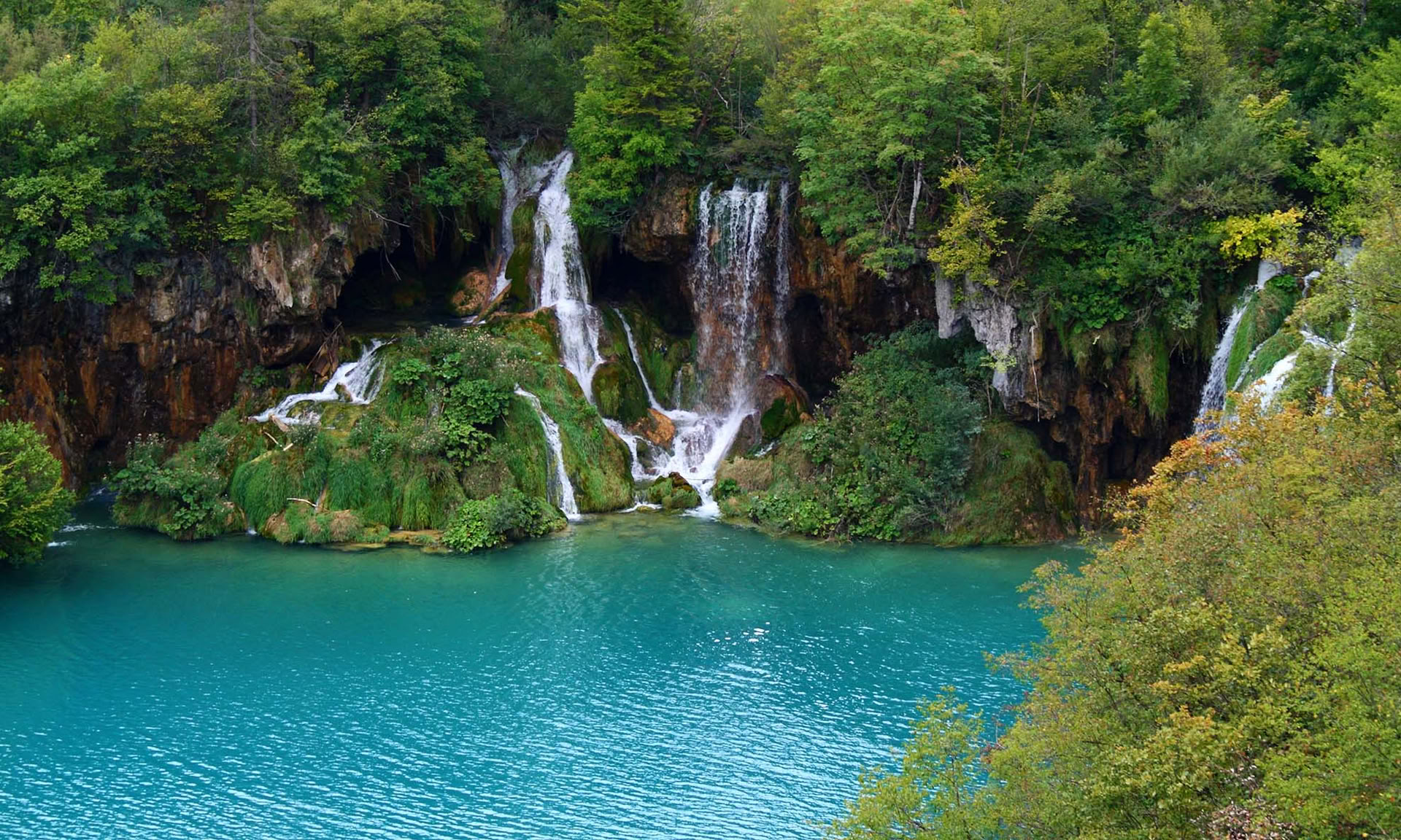 Wald-Auszeit Yoga-Retreat Kroatien
