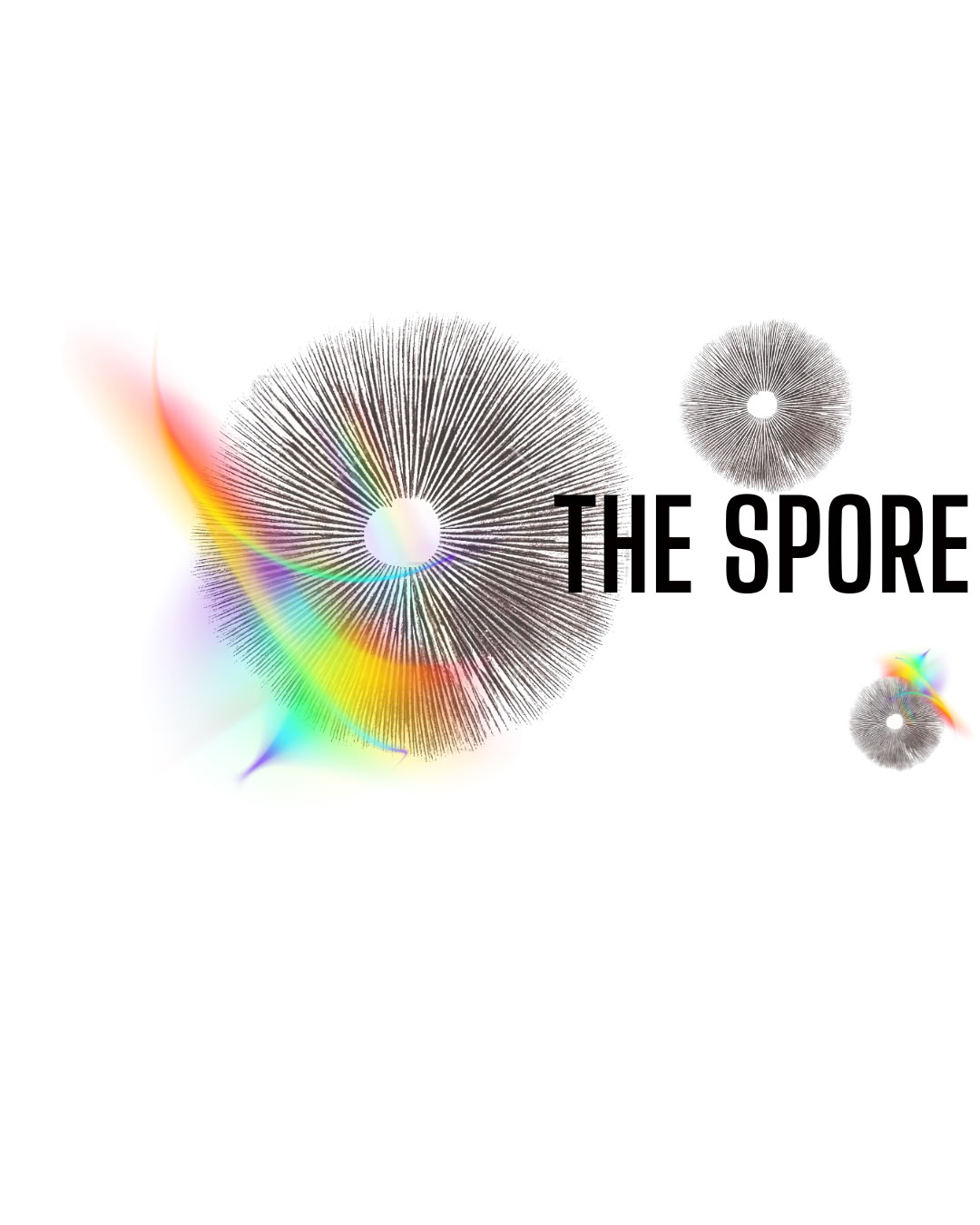 The Spore- Insight Council — Rootstock Retreat