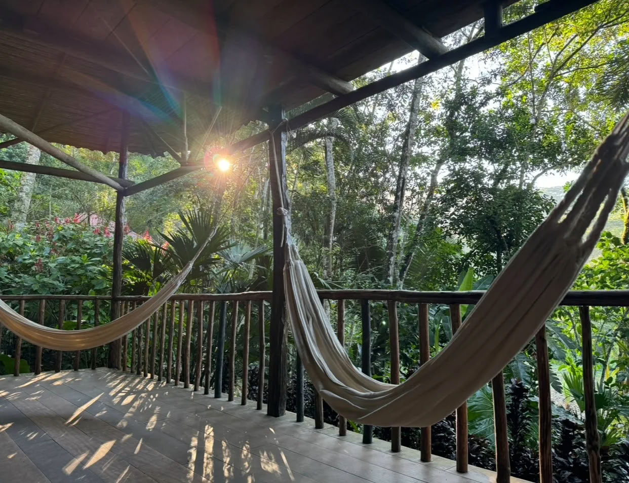 Nicht-Anfänger-Ayahuasca-Retreat