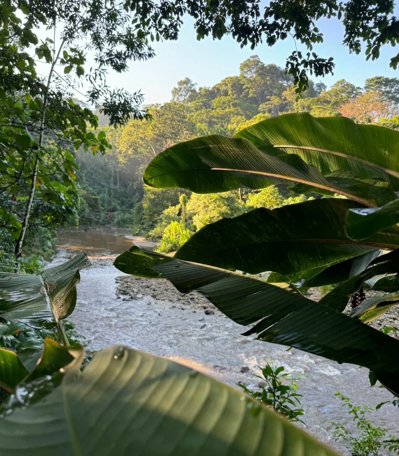Nicht-Anfänger-Ayahuasca-Retreat