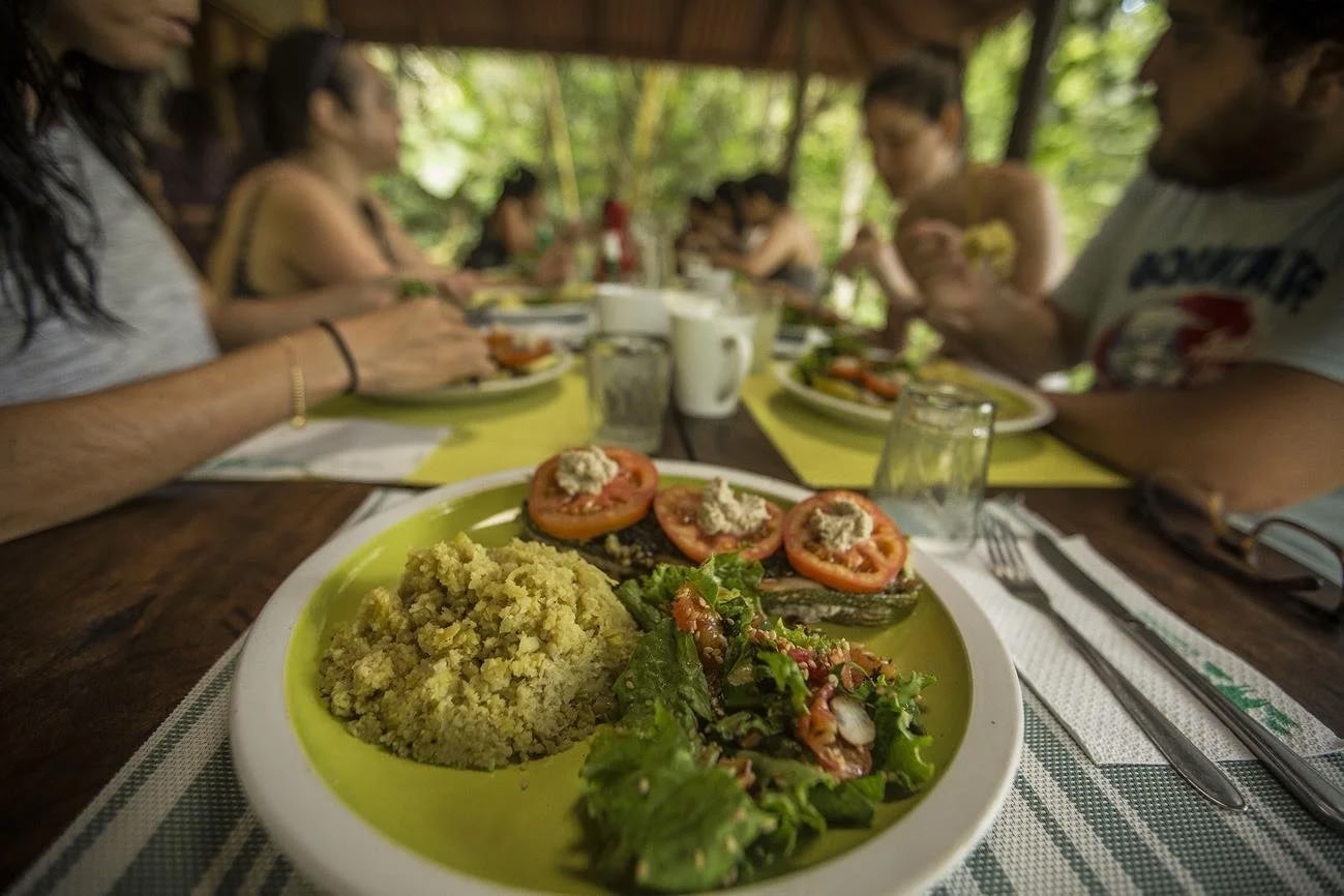 Nicht-Anfänger-Ayahuasca-Retreat