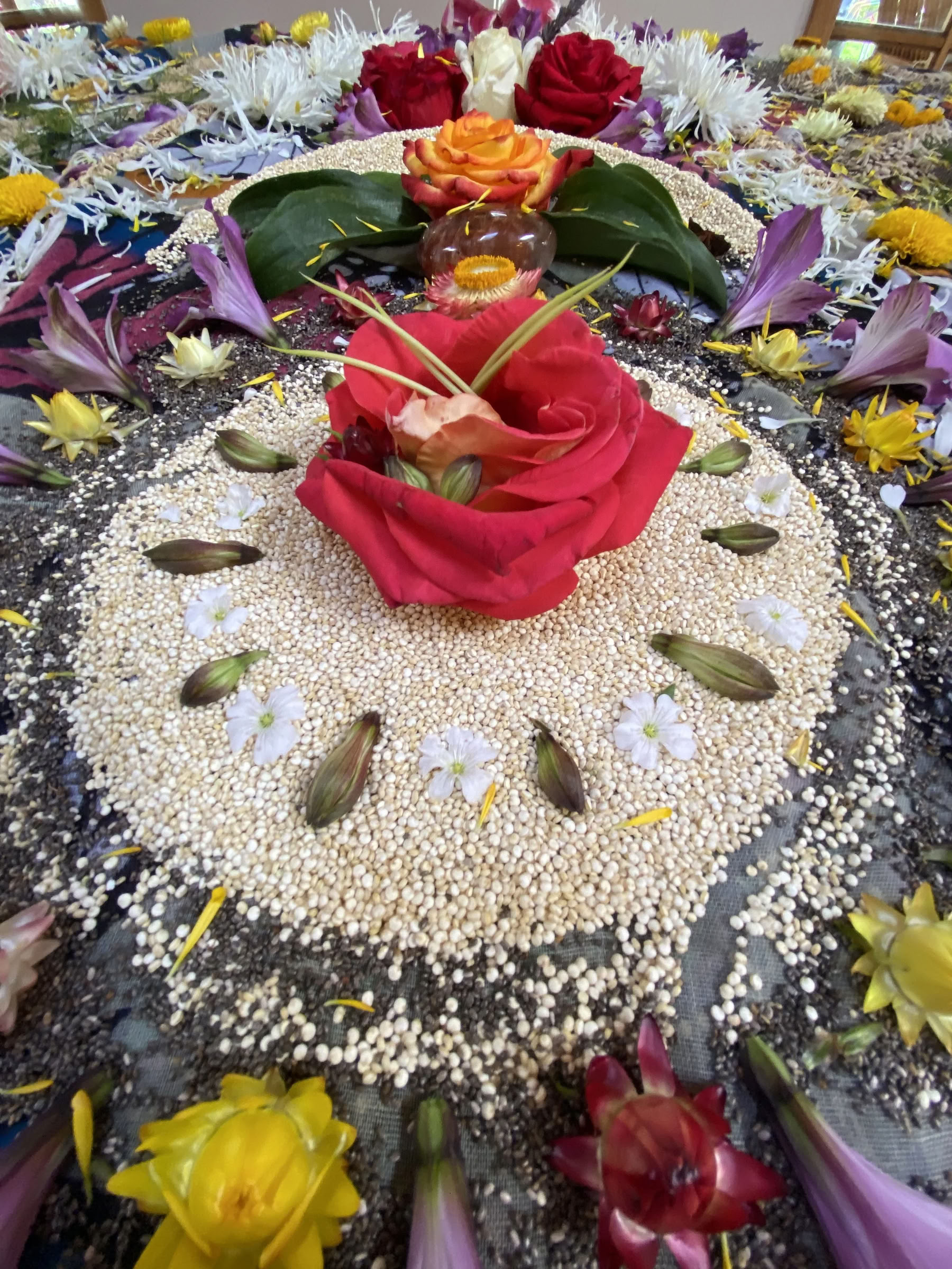 Nicht-Anfänger-Ayahuasca-Retreat