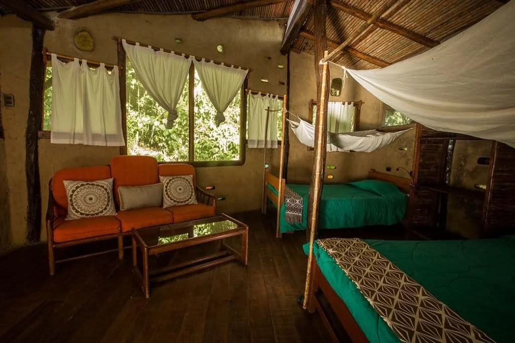 Pflanzen-Diät-Ayahuasca-Retreat