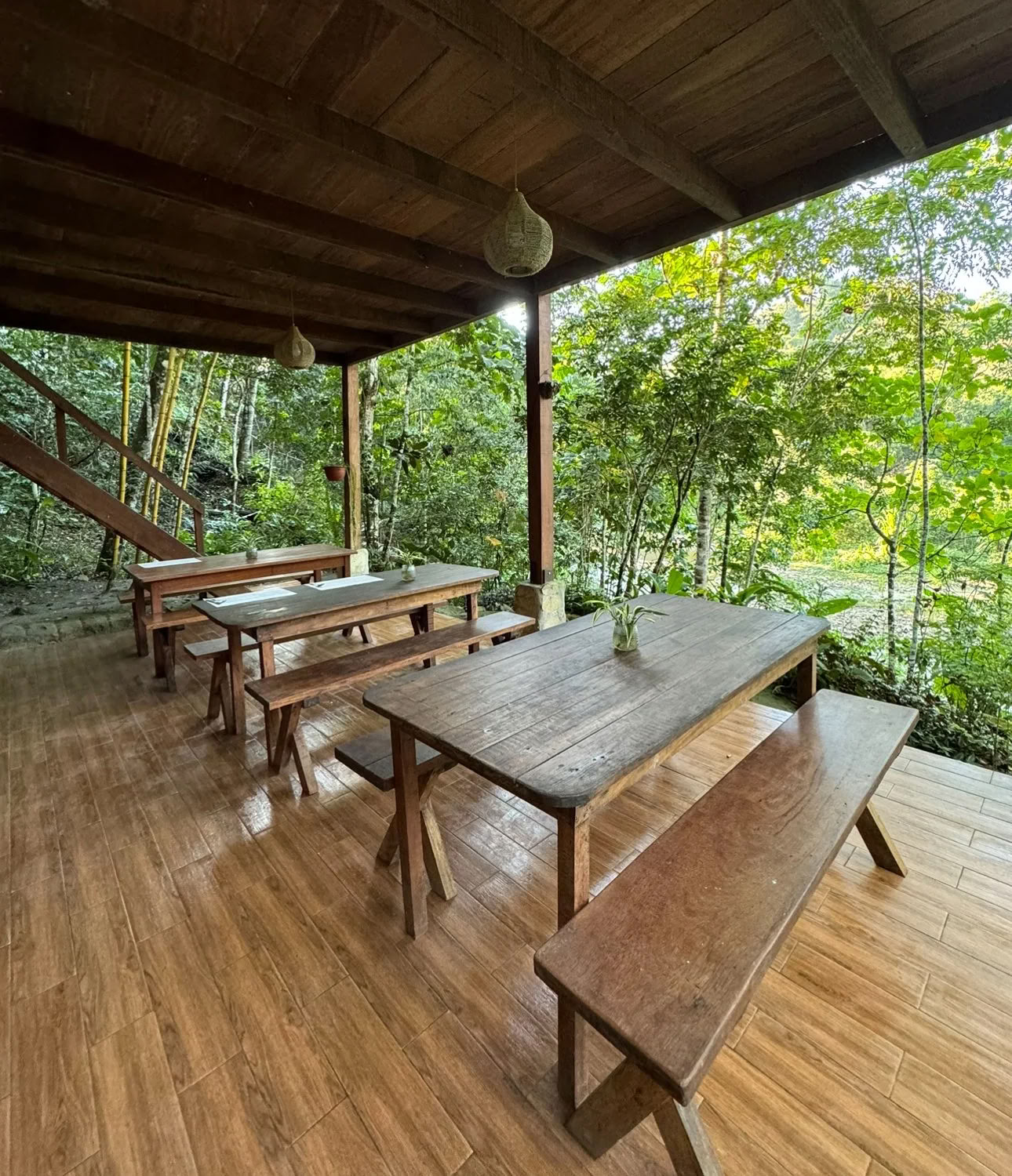 Pflanzen-Diät-Ayahuasca-Retreat