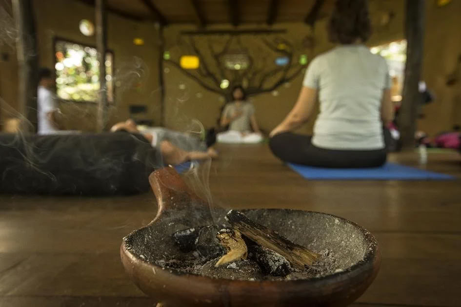Pflanzen-Diät-Ayahuasca-Retreat