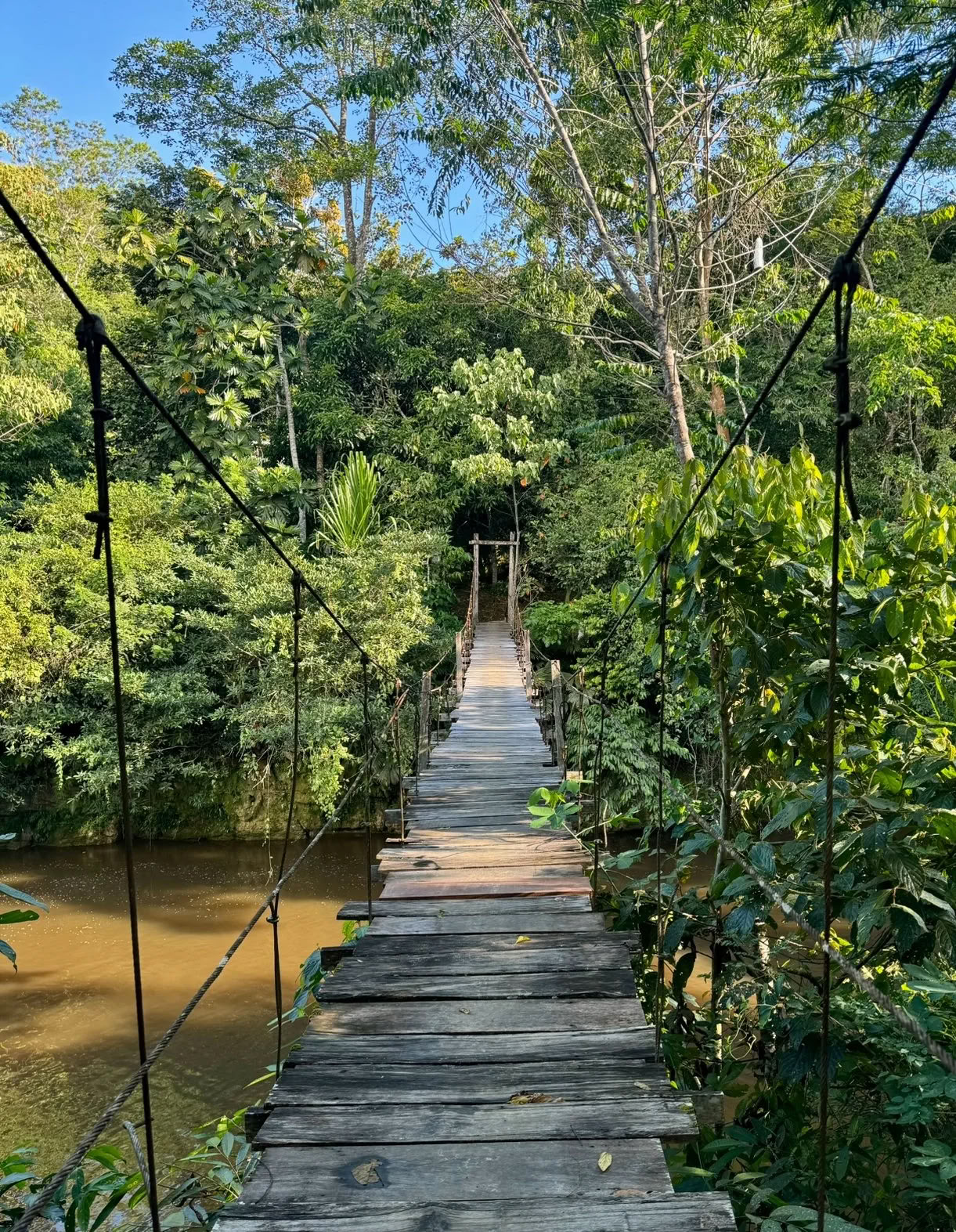 Pflanzen-Diät-Ayahuasca-Retreat