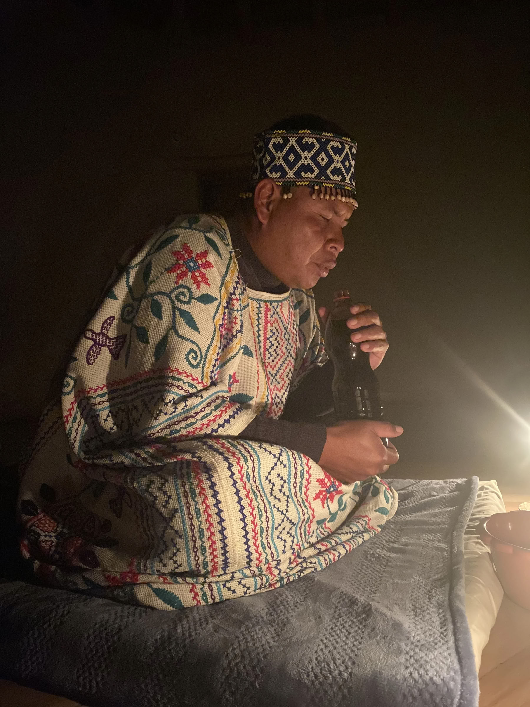 Pflanzen-Diät-Ayahuasca-Retreat