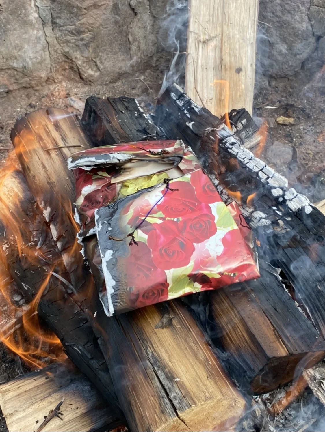 Pflanzen-Diät-Ayahuasca-Retreat