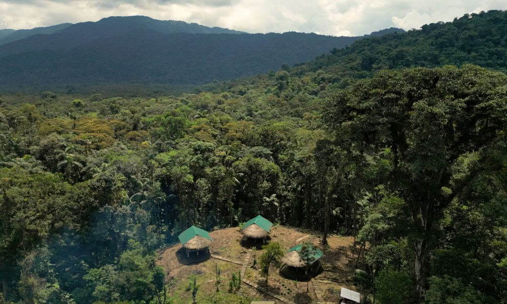 Ayahuasca Einführungsretreat: 7- und 14-tägig – 10. bis 31. Januar 2027