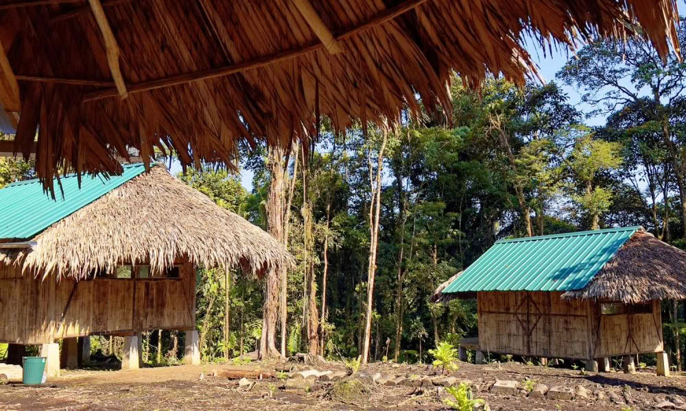 Ayahuasca Einführungsretreat: 7- und 14-tägig – 10. bis 31. Januar 2027