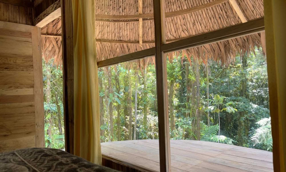 Ayahuasca Einführungsretreat: 7- und 14-tägig – 10. bis 31. Januar 2027