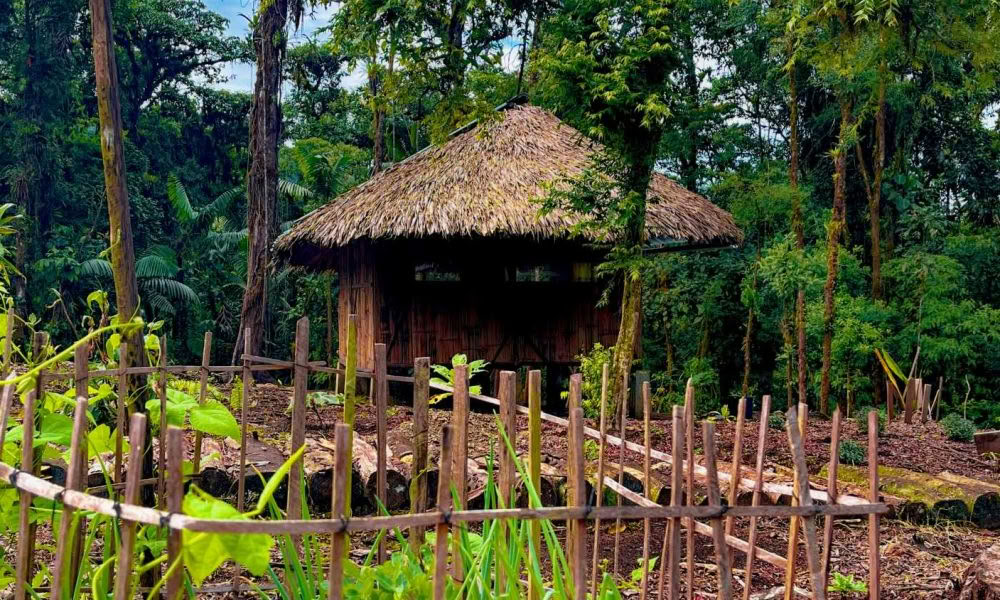 Ayahuasca-Einführungsretreat: 7- und 14-tägig – 3.-24. Februar 2027