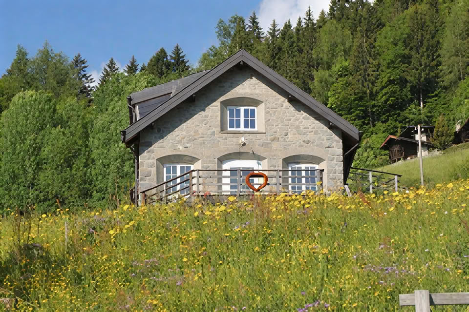 Dein Radikales Ganzheits-Yoga-Retreat 2026
