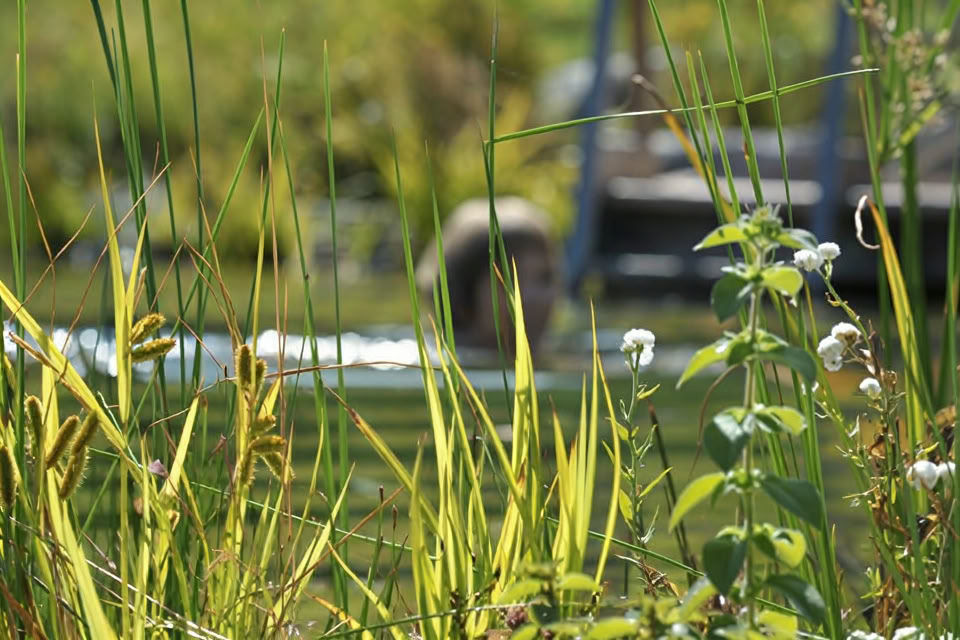 Roots der Erneuerung Retreat