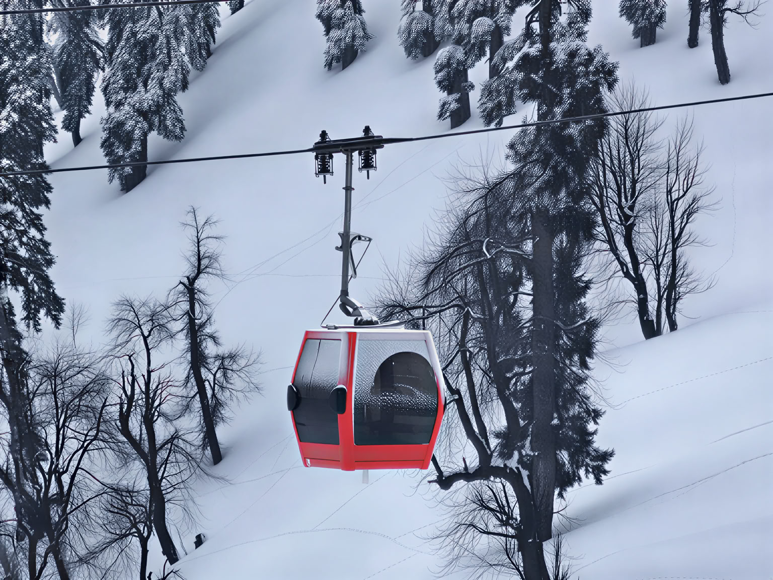 Dal Dreams & Mountain Days: Ein unverwechselbares Kaschmir-Erlebnis
