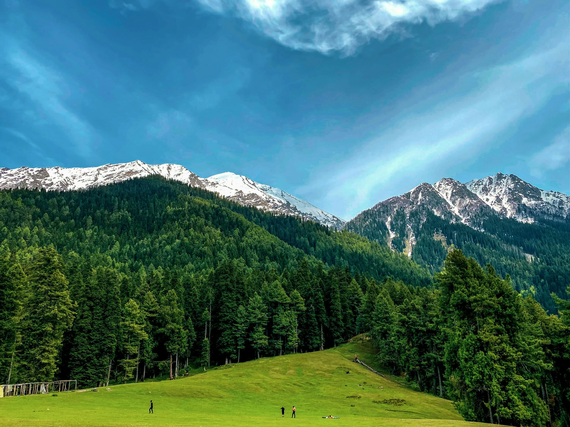 Dal Dreams & Mountain Days: Ein unverwechselbares Kaschmir-Erlebnis