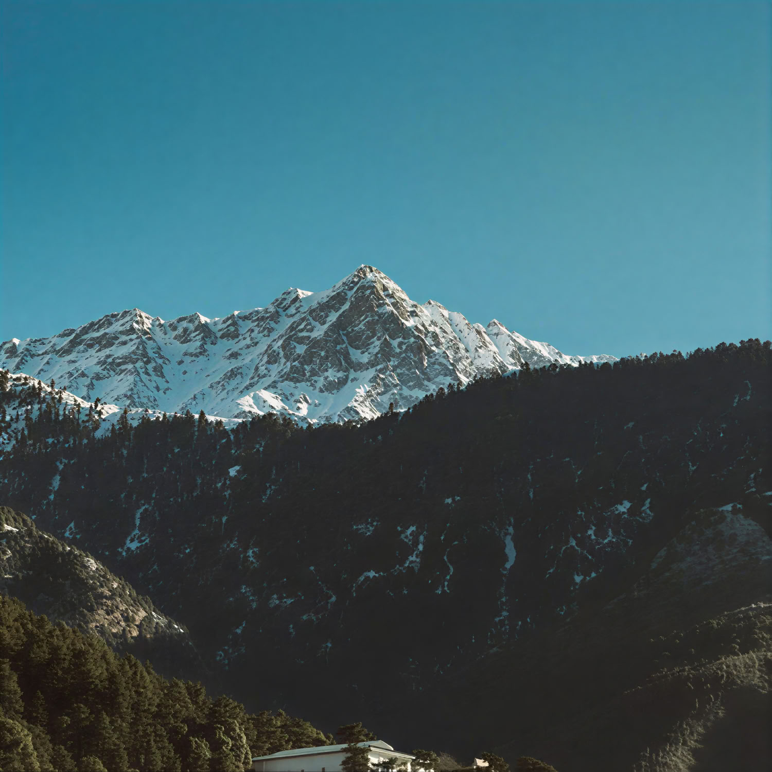 Heilige Hügel bis Goldene Horizonte: Dharamshala, Dalhousie & Amritsar-Pfad