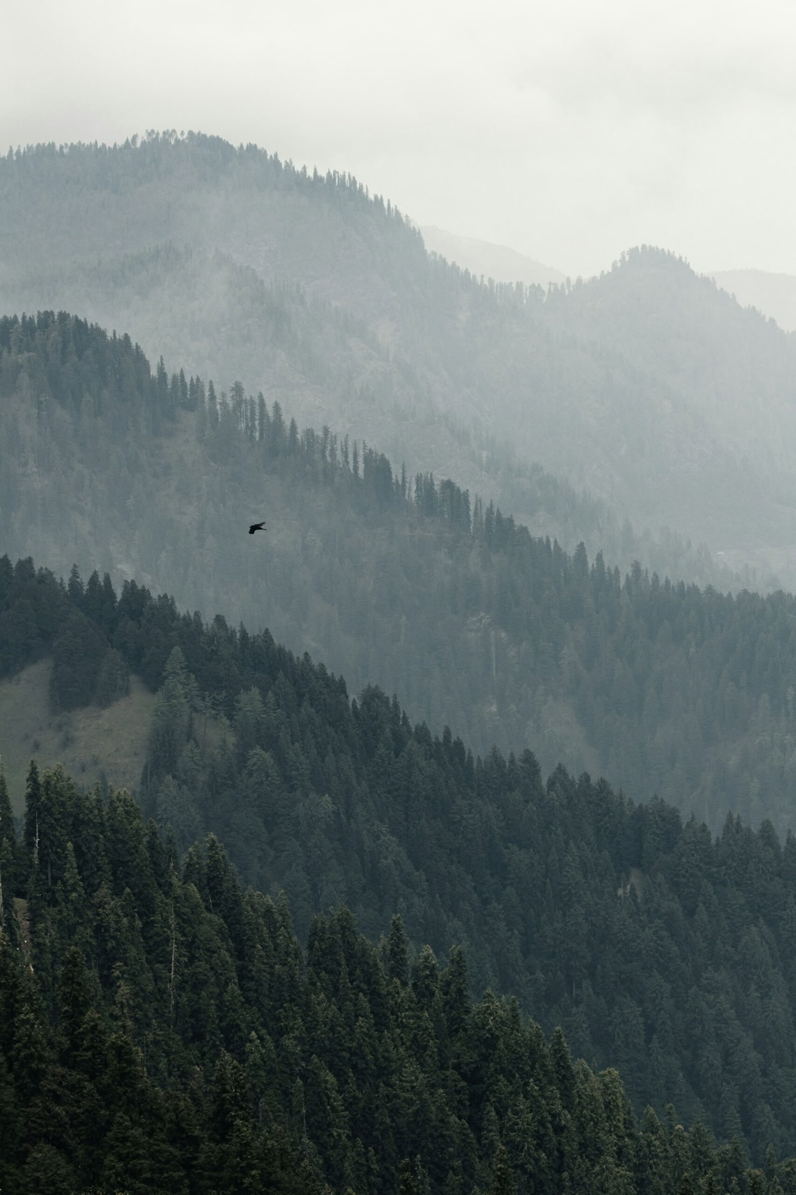 Heilige Hügel bis Goldene Horizonte: Dharamshala, Dalhousie & Amritsar-Pfad