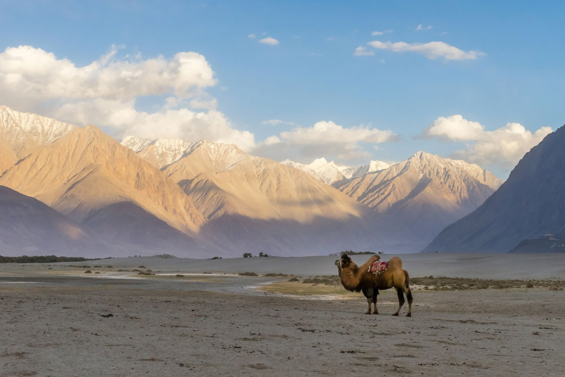 Ladakh – Exotisches Ladakh mit Turtuk