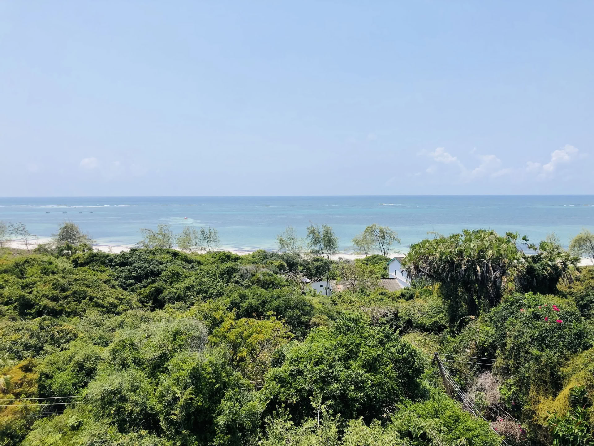 Into the Wild Yoga-Retreat, Watamu, Kenia