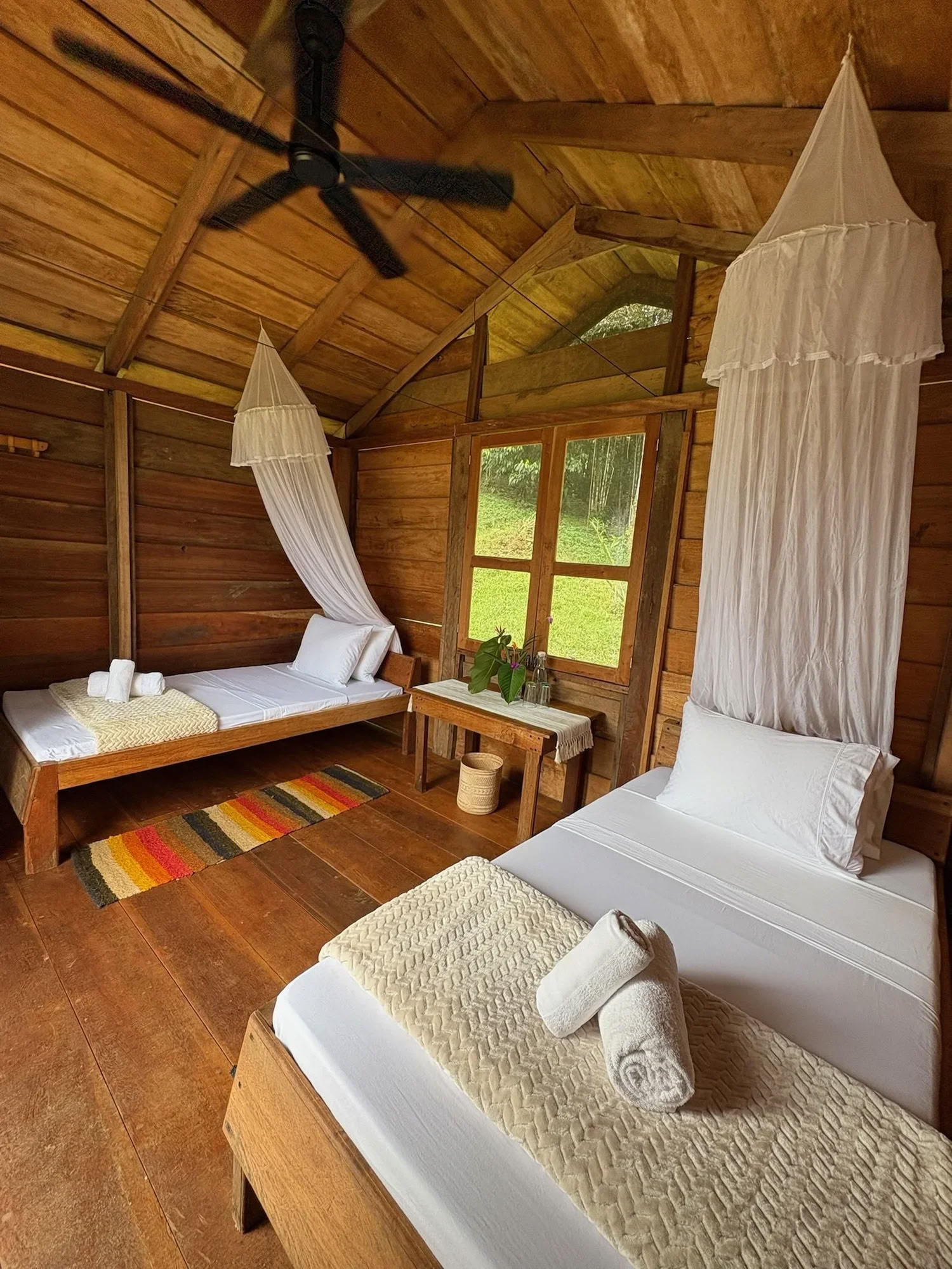8-Tage Ayahuasca | Stier-Neumond-Retreat — Jungle Harmony