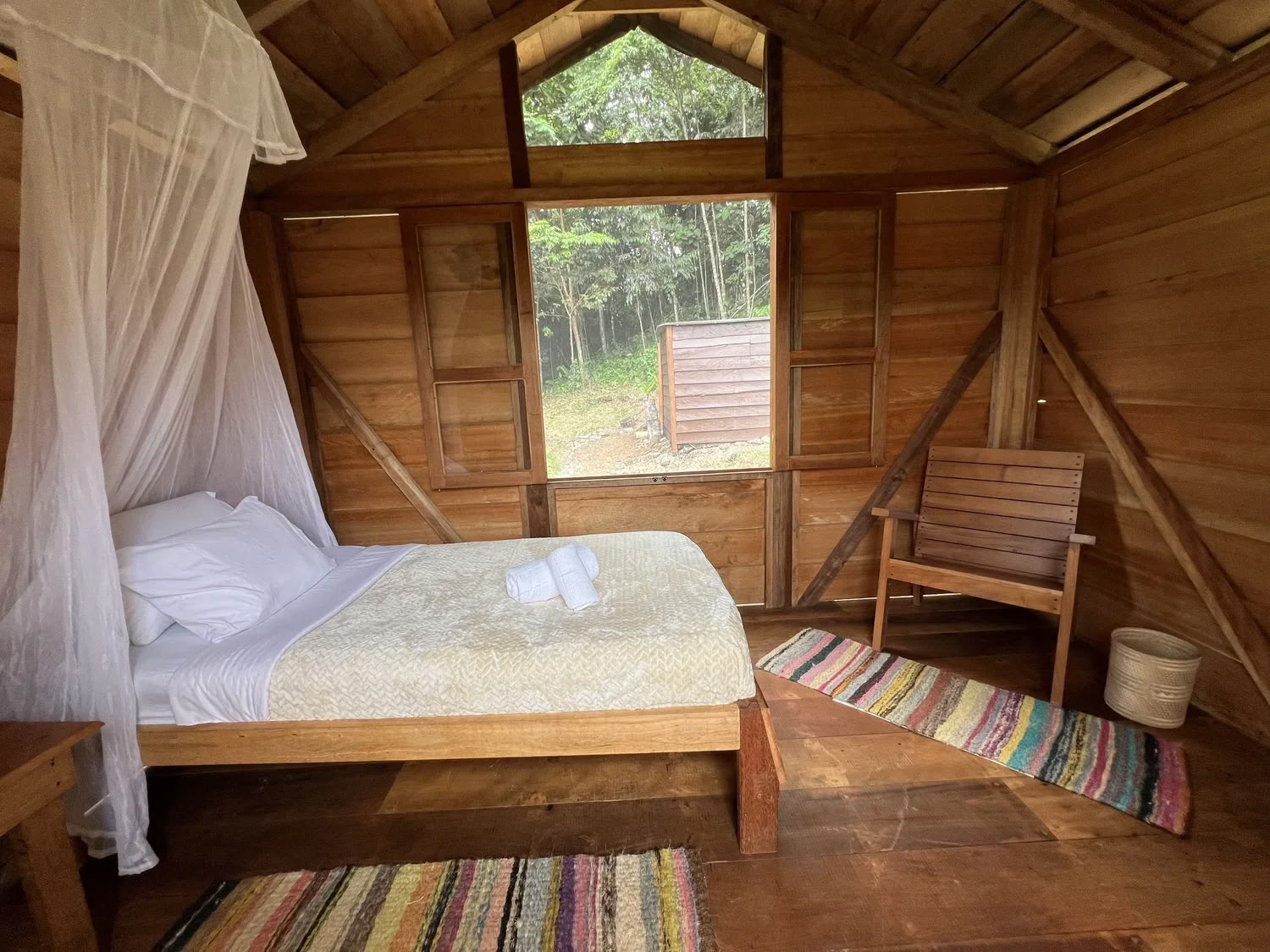 4-tägige Ayahuasca | Vollmond im Steinbock — Jungle Harmony