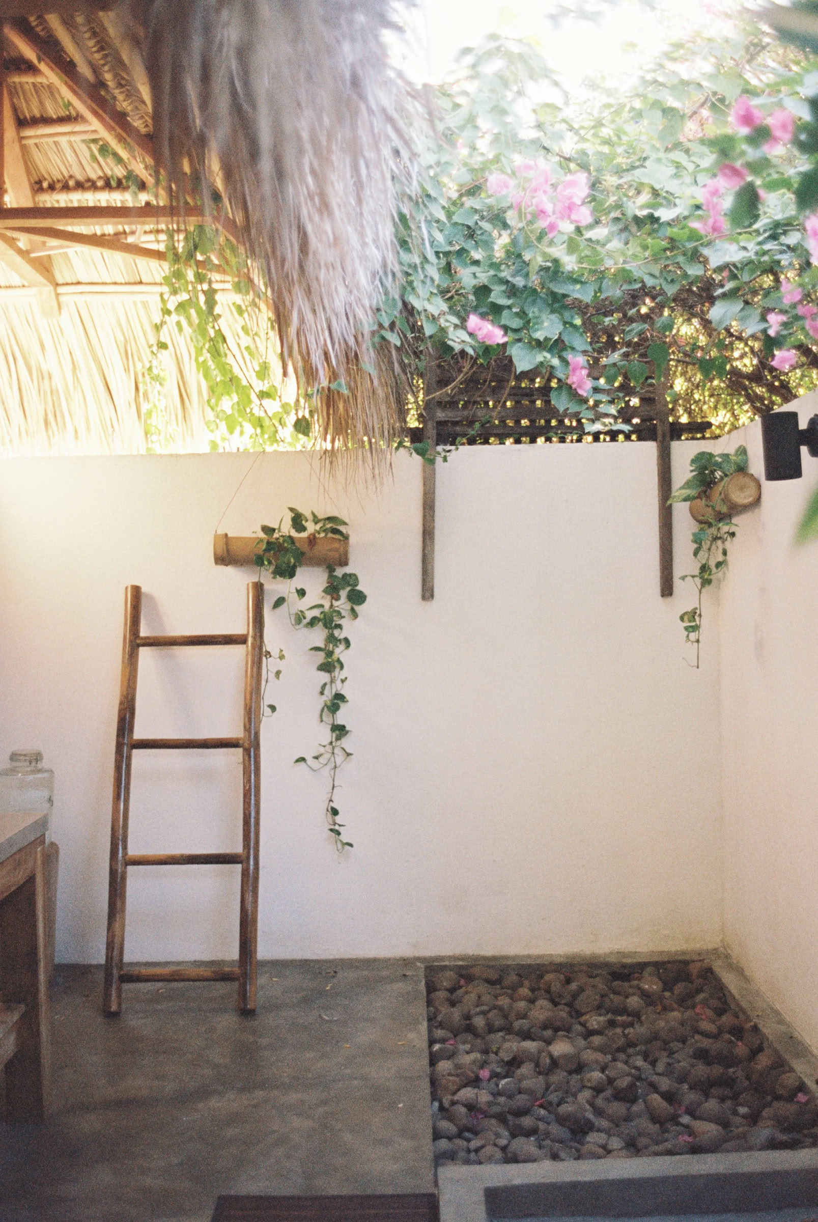 Wildes Nicaragua Yoga-Retreat