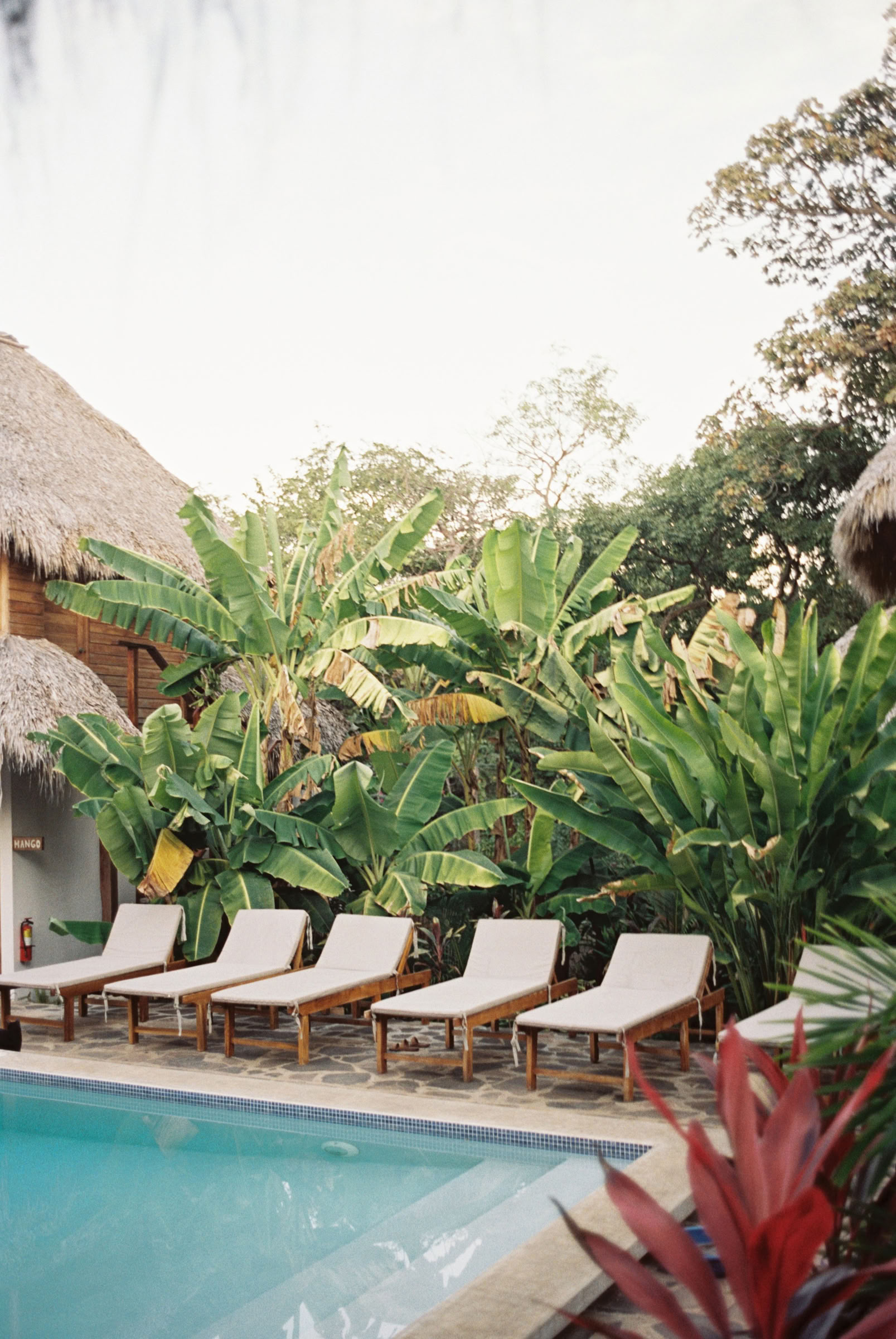 Wildes Nicaragua Yoga-Retreat
