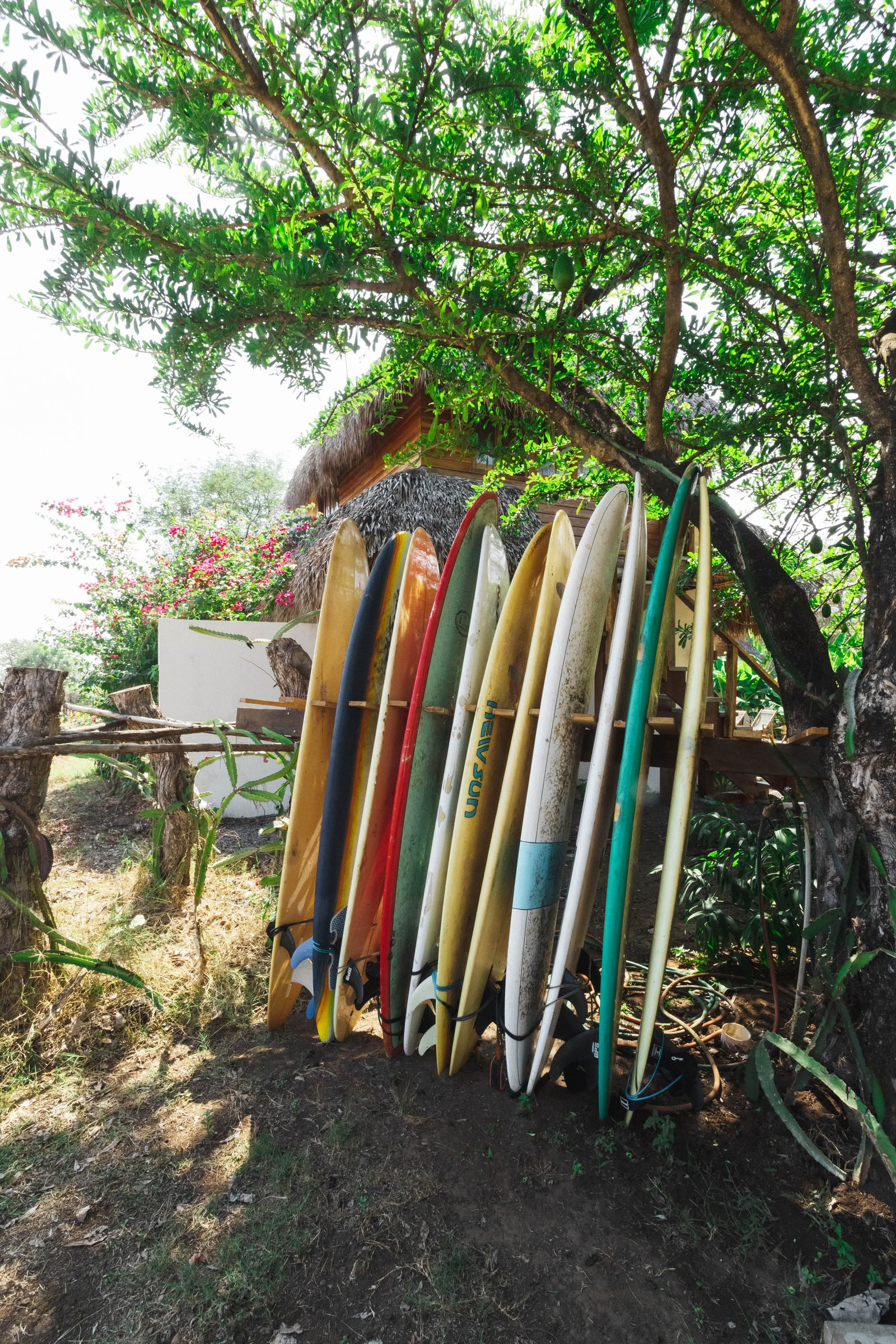 Wildes Nicaragua Yoga-Retreat