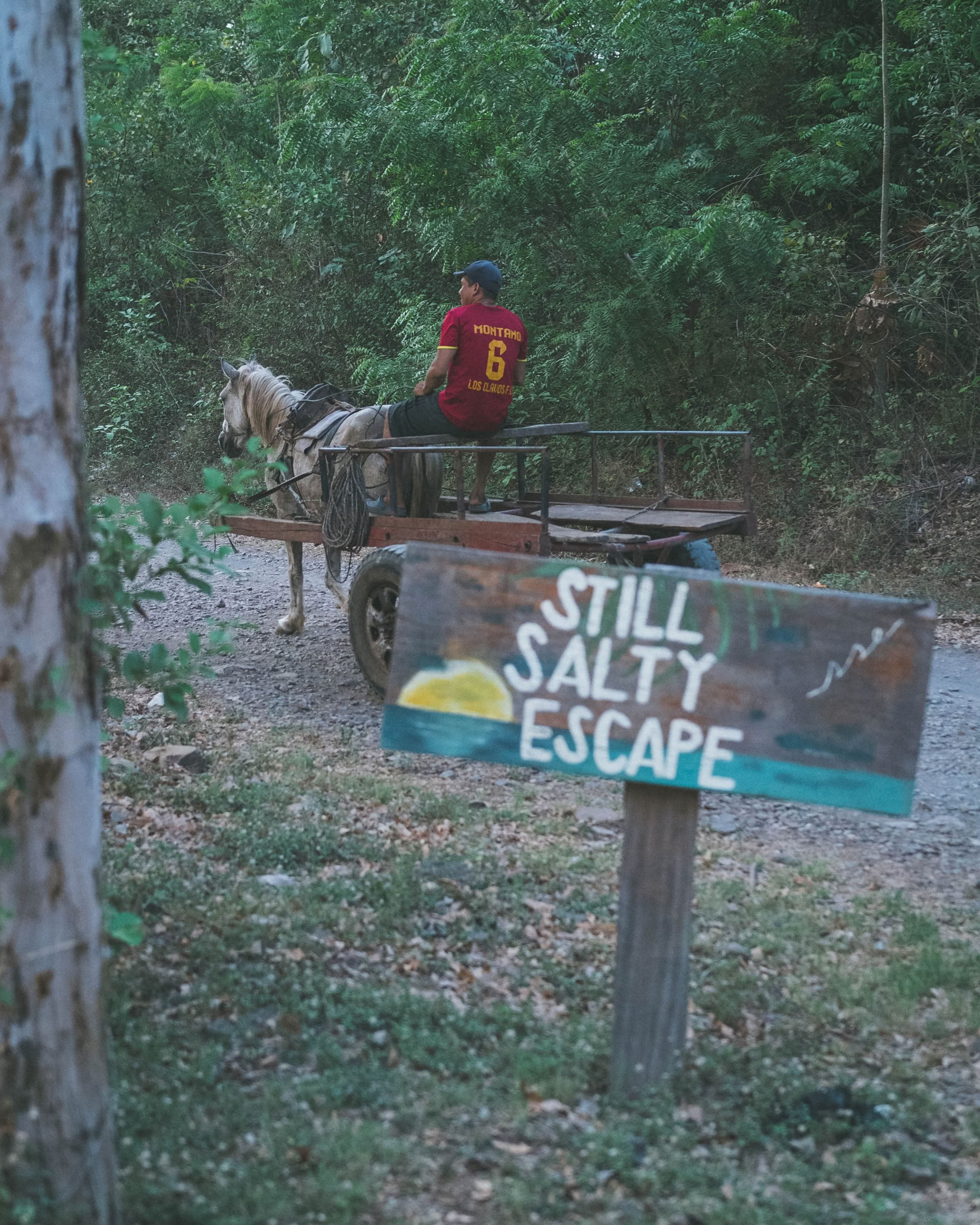 Wildes Nicaragua Yoga-Retreat