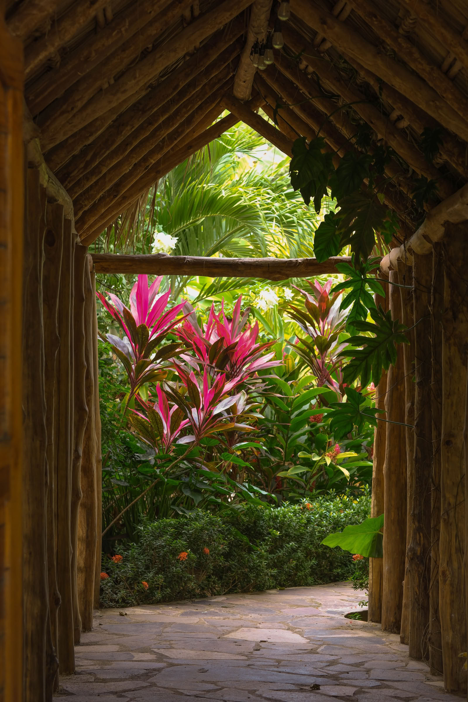 Wildes Nicaragua Yoga-Retreat